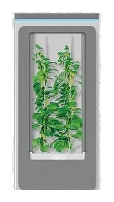 攀爬種植櫃（高款）