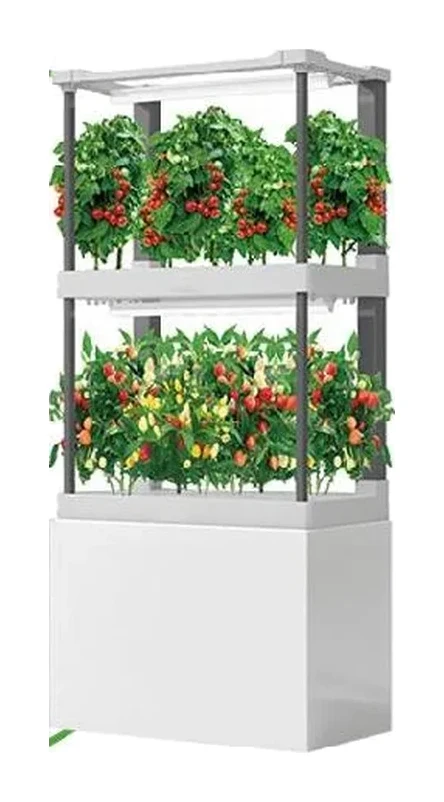 Mini 兩層果菜版（Wi-Fi）