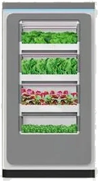 葉菜種植櫃（矮款）